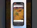 How to test your digital card profile is set up correctly