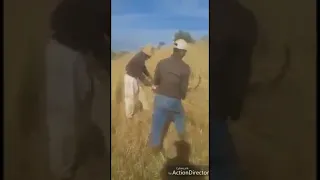 يابوطيبا داوني دندنها