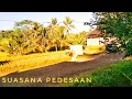 Download Lagu kecapi suling Sunda dalam panorama alam menakjubkan//suasana pedesaan indonesia