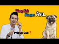 Download Lagu Hukumnya makan daging anjing haram apa tidak  | GUS BAHA