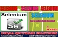 Selenium WebDriver How to perform Batch Execution by Mahesh