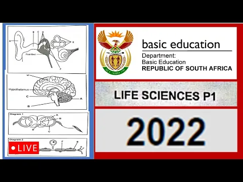 Download MP3 2022 paper 1,  life sciences, grade 12, m.saidi