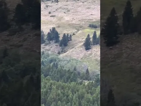 Target acquired! 👀