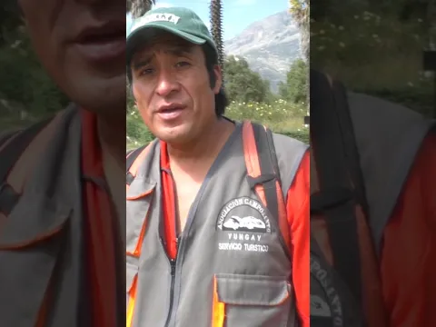 Toda la pileta está bajo tierra