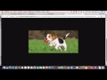 Upload images with Firebase