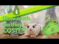 How much do sugar gliders cost Short Sweet