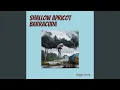 Download Lagu Shallow Apricot Barracuda