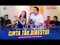 Download Lagu Cinta Tak Direstui (Maafkan Aku Sayang Ku Tak Memilihmu) - Dara Ayu X Bajol Ndanu (OMV) Live Version