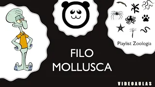 Filo Mollusca (Moluscos)