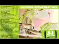 Download Lagu Florida Breaks Mix