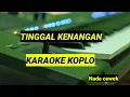 Download Lagu Tinggal kenangan - Karaoke versi koplo - Nada Cewek
