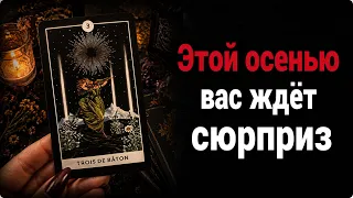 Какой приятный СЮРПРИЗ вас ждет этой ОСЕНЬЮ? Гадание таро расклад Tarot Reading 