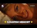 Goldfish Memory - Love Has No Rules Watch the Full Movie Online