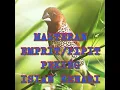 Download Lagu EMPRIT PEKING PASTI LANGSUNG NYAUT, DENGAR MASTERAN INI