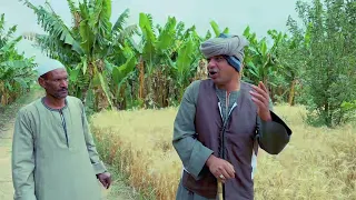 الحاج الضوى ضرب عبدالناصر فى القمح 