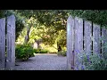 When the Garden Remembers | Soft Piano for Reading & Quiet Rest