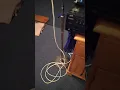 Wait A Little Longer