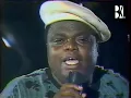 Pepe Kalle Feat. Canta Nyboma - Moyibi (CLIP PLAYBACK)