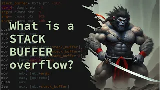 What is a Stack Buffer Overflow Exploring How To Exploit the Stack