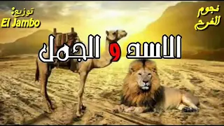 اغنيه اسد وقال للجمل نفسى اسالك سؤالين دندنها