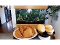 Ezell s Lynnwood Grand Opening 8 Piece Chicken Review