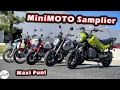 Honda MiniMOTO Buyer s Guide Grom Monkey Navi Super Cub Trail 125 Comparison