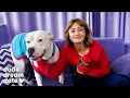 Ella Purnell Is All About Letting Her Dodo Dream Date Take The Lead The Dodo