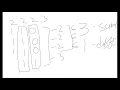 Leetcode 137 Single Number II