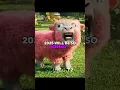Download Lagu 2025 will be insane! 💀🥶 PART 2 | #edit #fyp #2025 #cool #shorts #viralshort