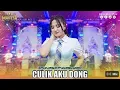 Lagu CULIK AKU DONG ,Mahesa musik2025