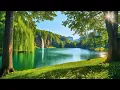Download Lagu Beautiful Relaxing Music 🌿 Stop Overthinking, Stress Relief Music, Calming Music, Sleep Music