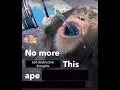 no more -