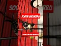 Download Lagu Burung Sogon Sulawesi Gacor Jebol Emosi