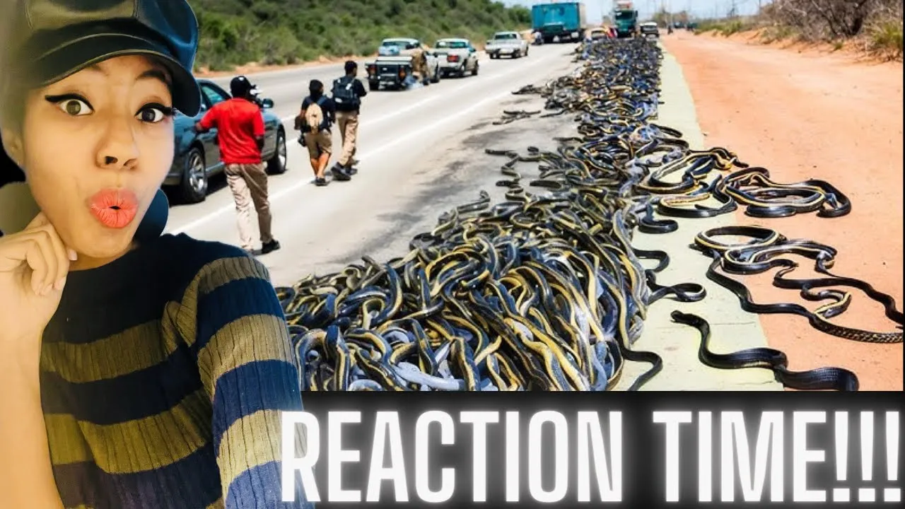 Chill Checking Out "Incredible Moments Caught on Camera" Reaction