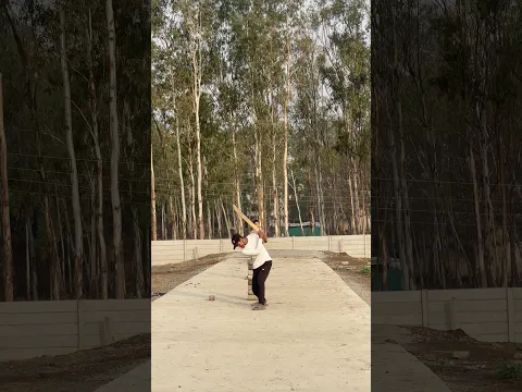 No Look Shot 🥶🏏 | cricket fight #cricket #shorts