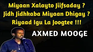 Miyaan Xalay To Jiif Day Lyrics Axmed Mooge Miyaan Xalay Jiif Day Miyaan Xalayto Jiifsaday 