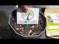 BuildASoil Lab Test Review