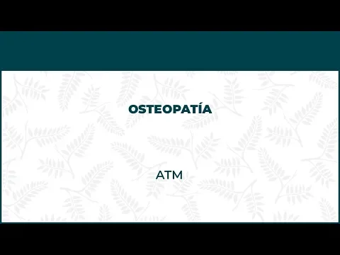 Osteopatía Temporomandibular o ATM - FisioClinics Barcelona, Barna