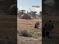 Download Lagu Palestinian woman watches Israeli demolition of her house