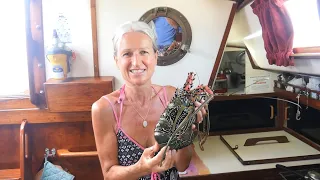 CATCH AND COOK – Seafood Bonanza at Great Keppel Island! (Sailing SV Sarean) Ep. 65