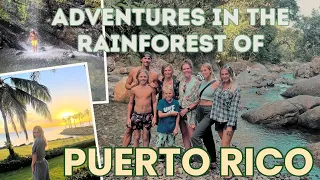 Adventures In the Rainforest of Puerto Rico Episode 24