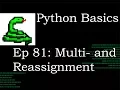 Python Basics How to Assign Multiple and Reassignments Variables