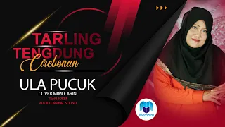 Download Ula Pucuk - Tarling Tengdung Cirebonan Mimi Carini MP3