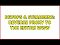 DevOps SysAdmins Reverse proxy to the entire WWW 2 Solutions