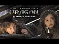 Download Lagu Hiccup Meets Toothless | How To Train Your Dragon