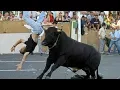 Download Lagu Compilatie van gevaarlijke stierengevechtongelukken 2018 - Stierenvechtfestival
