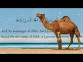 Download Lagu Surah Shams X10 | Mishary Rashid Alafasy | Beautiful recitation