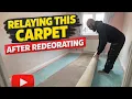Don t Replace It How to Save Relay Carpet After Decorating Step-by-Step DIY