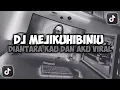 Download Lagu DJ DIANTARA KAU DAN AKU CUMAN KAMU TIADA || MEJIKUHIBINIU VIRAL TIKTOK SLOW FULL SONG MAMAN FVNDY