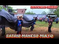 Lagu KALAPAN BANTENG‼️SATRIO MAHESO MULYO NGAMUK KESURUPAN BRINGAS,,
